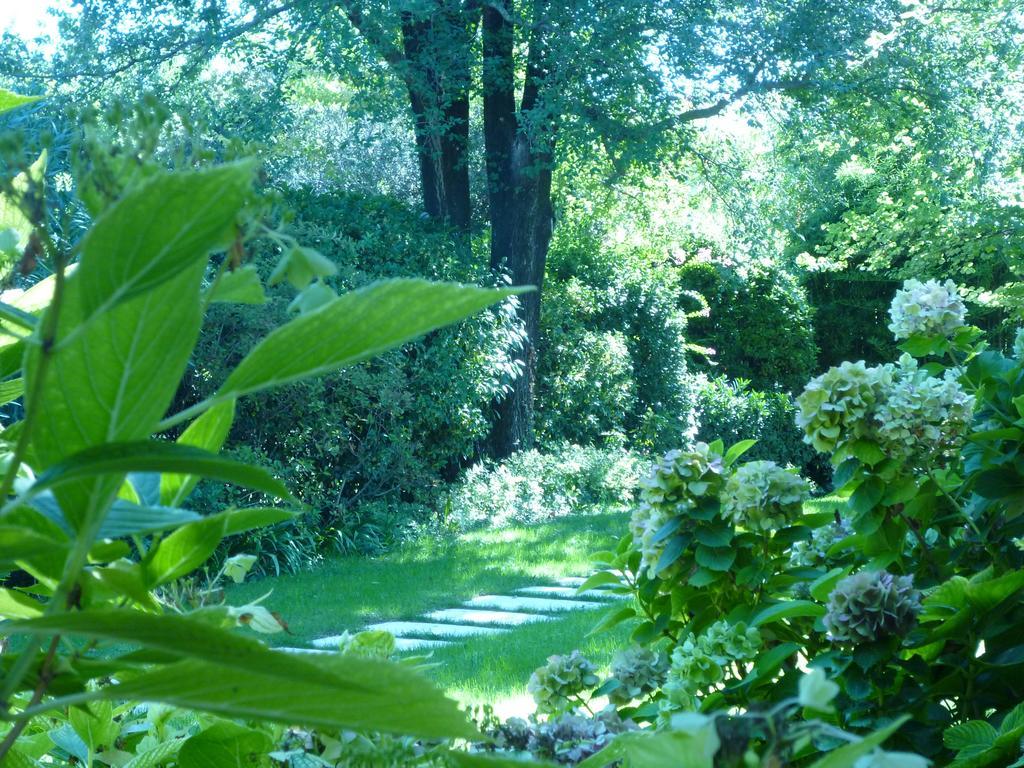 B&B Villa Dei Pini Domegliara Exterior photo